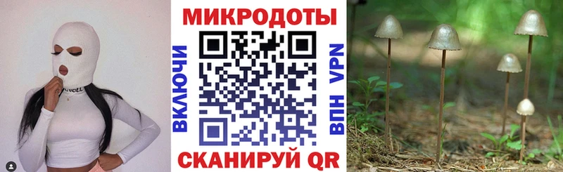мега tor Чегем Галлюциногенные грибы MAGIC MUSHROOMS