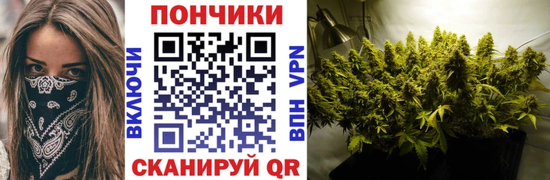 Канабис Bruce Banner  Чегем 